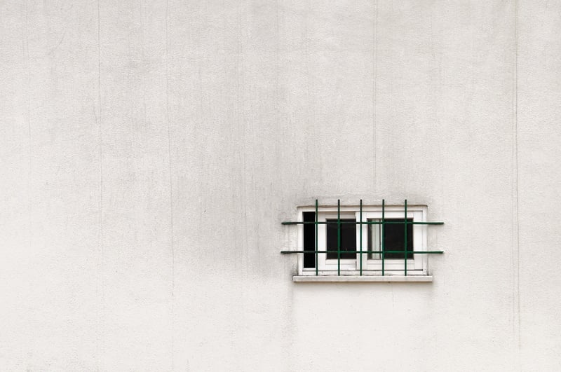 Vertical Plant Wall